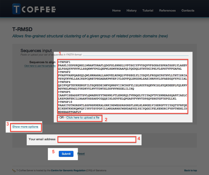 T-RMSD input form